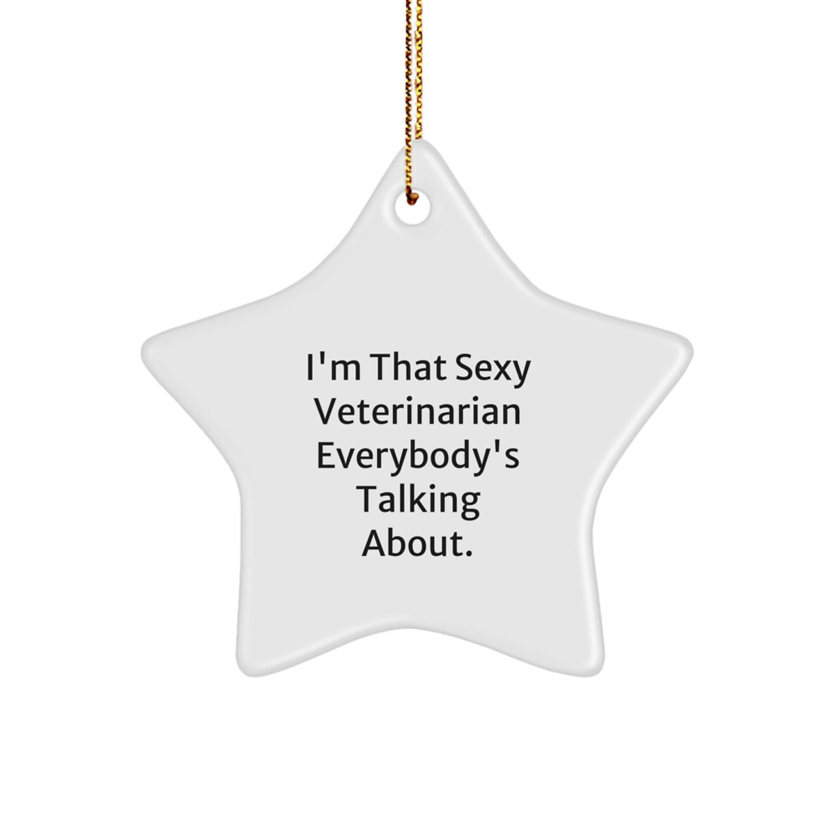 Christmas Ornament Gift Cheeky Veterinarian Star for Coworkers - A Fun - Image 1