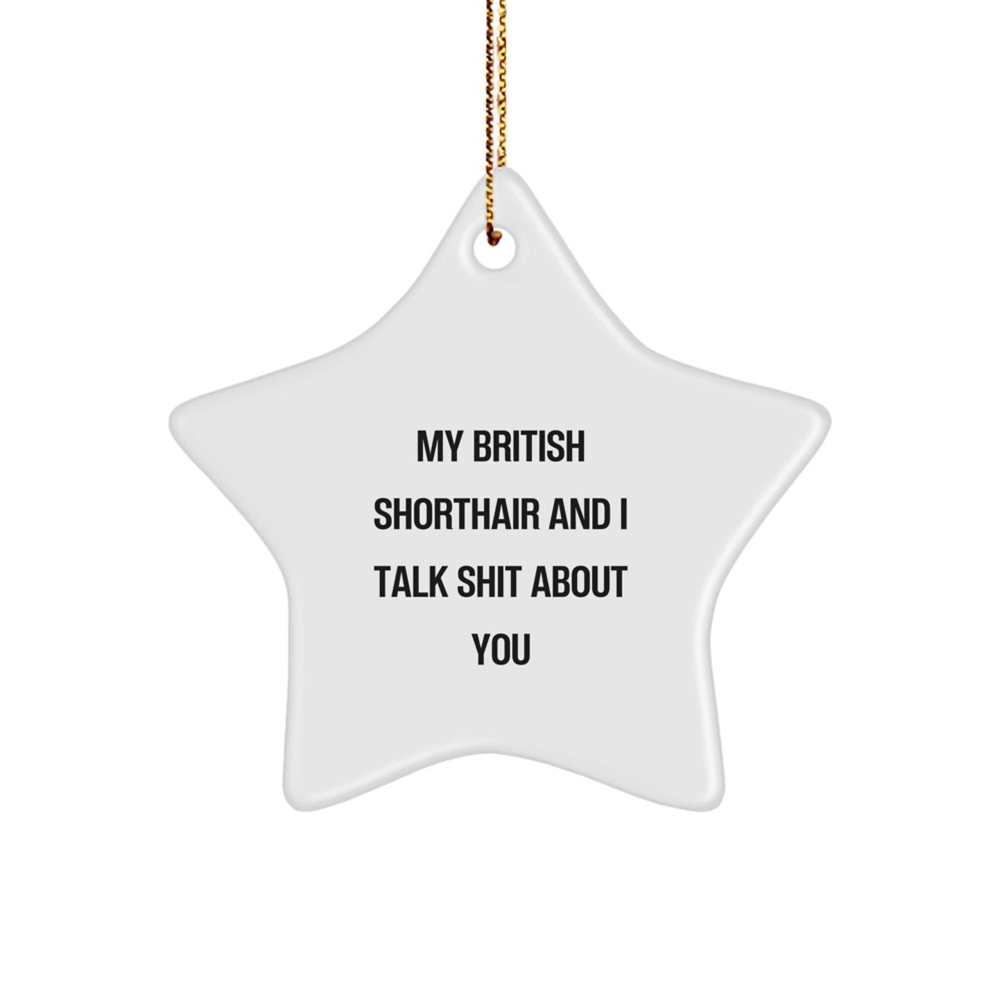 Funny British Shorthair Cat Star Ornament Gifts from Friends for Christmas Unique Ideas - Image 1