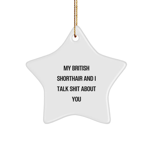 Funny British Shorthair Cat Star Ornament Gifts from Friends for Christmas Unique Ideas - Image 1