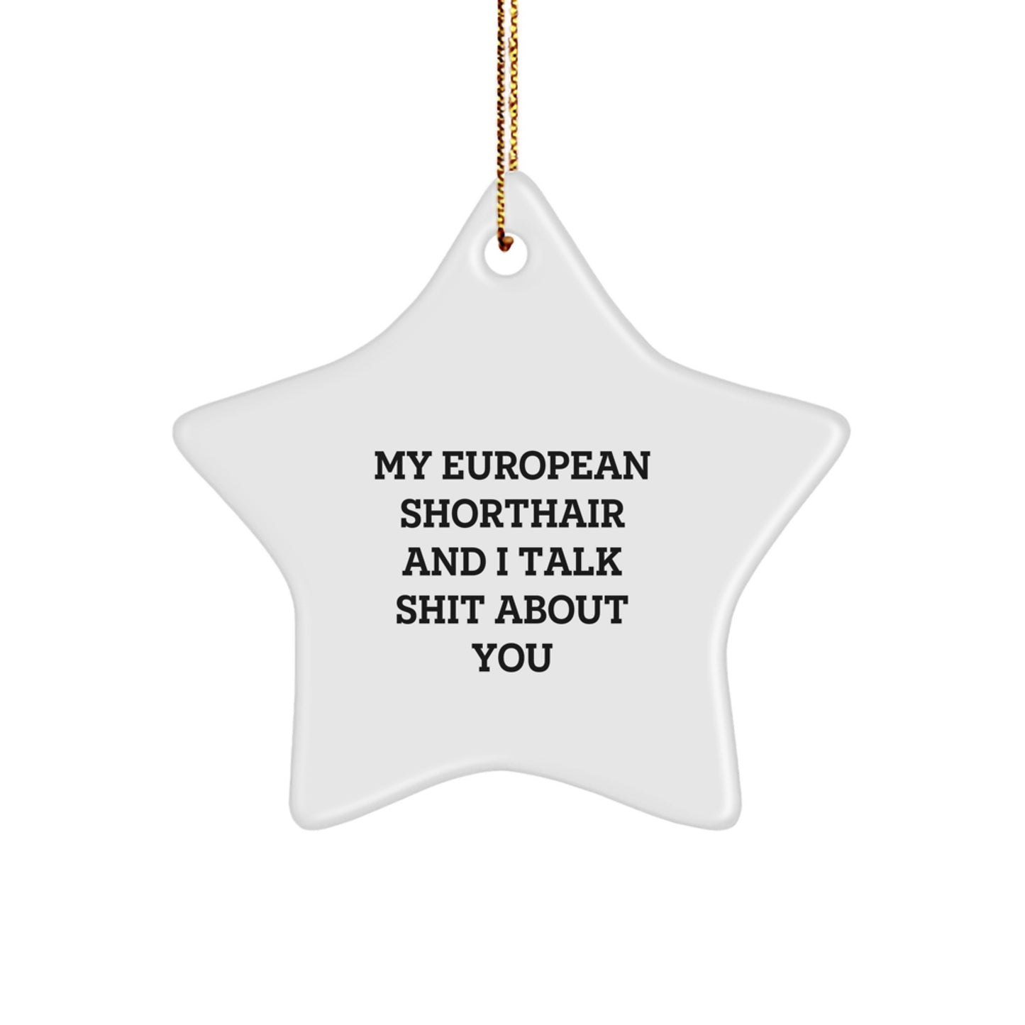 Funny Gifts for European Shorthair Cat Lovers, My European Shorthair And I Talk Shit About You Christmas Star Ornament, Star Gifts from Men to Family - Image 1