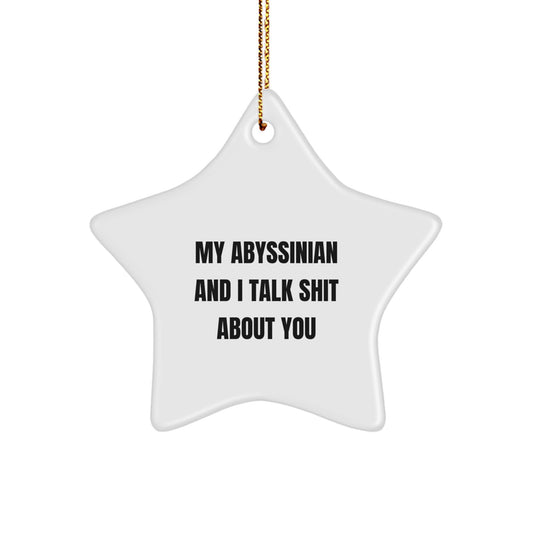 Funny Abyssinian Cat Christmas Unique Gifts from Friends to Abyssinian Cat Lovers - Star Ornament, My Abyssinian And I Talk Shit About You - Image 1