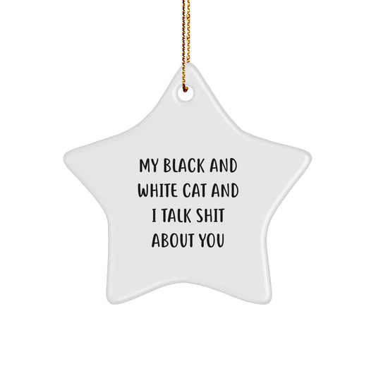 Funny Black and White Cat Star Ornament Gift from Friends for Cat Lovers, My Black And White Cat And I Talk Shit About You, Unique Christmas Unique Gifts - Image 1