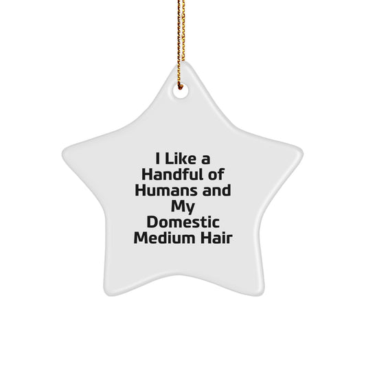 Funny Domestic Medium Hair Star Ornament Gifts from Men for Women, White, I Like A Handful Of Humans And My Domestic Medium Hair Christmas Unique - Image 1
