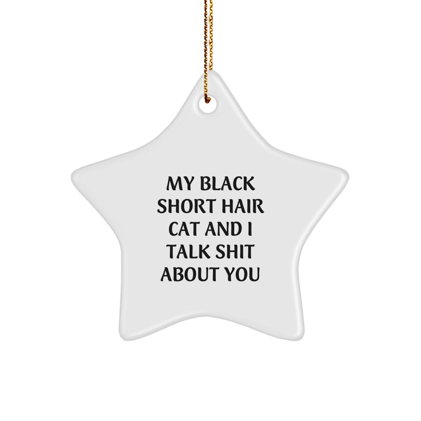 Funny Black Short Hair Cat Gifts for Black Short Hair Cat Lovers - Star Ornament Christmas Unique Gifts from Friends and Family - Image 1