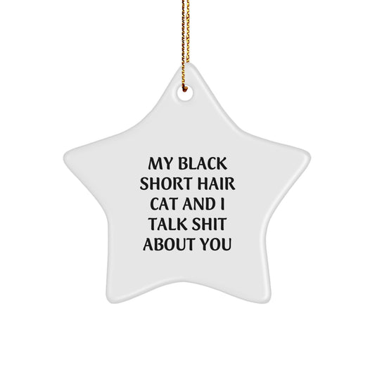 Funny Black Short Hair Cat Gifts for Black Short Hair Cat Lovers - Star Ornament Christmas Unique Gifts from Friends and Family - Image 1