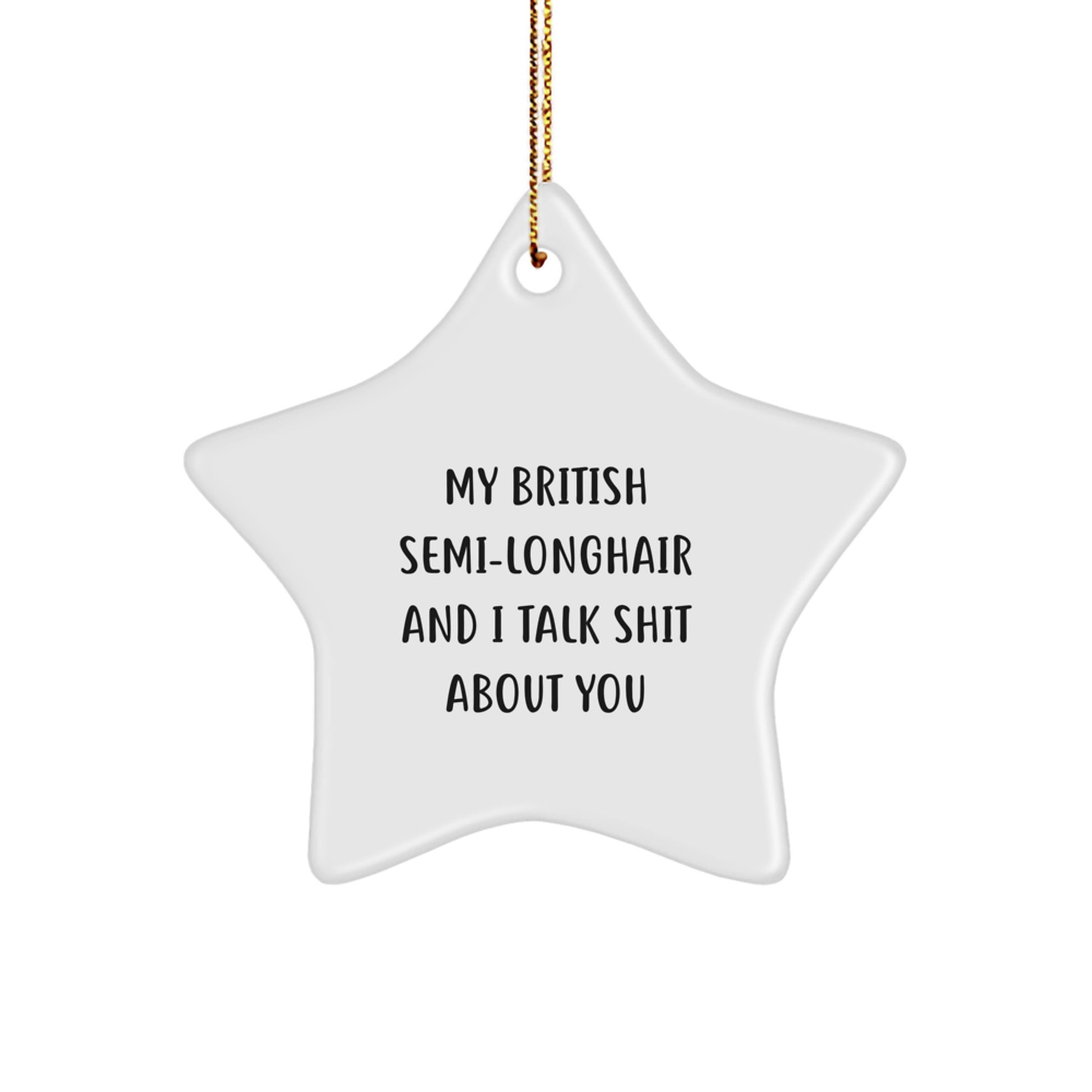 British Semi-Longhair Cat Christmas Funny Star Ornament Gifts from Friends for British Semi-Longhair Cat Owners - Image 1