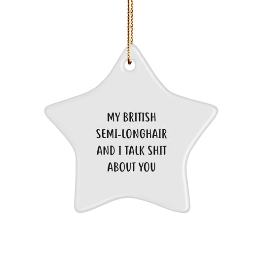 British Semi-Longhair Cat Christmas Funny Star Ornament Gifts from Friends for British Semi-Longhair Cat Owners - Image 1