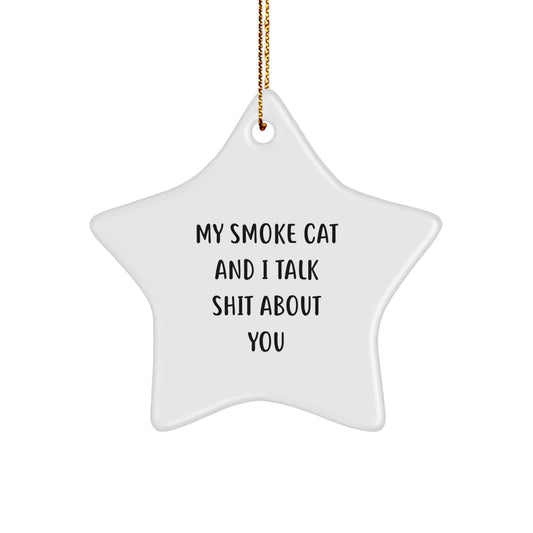 Funny Smoke Cat Star Ornament Gifts for Smoke Cat Lovers from Family Friends, My Smoke Cat And I Talk Shit About You Christmas Decorations - Image 1