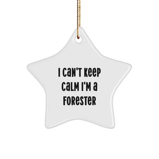 Forester Star Ornament Funny Quote Gifts from Friends for Men, 'I Can't Keep Calm I'm A Forester' White Star Shaped, Christmas Unique - Image 1