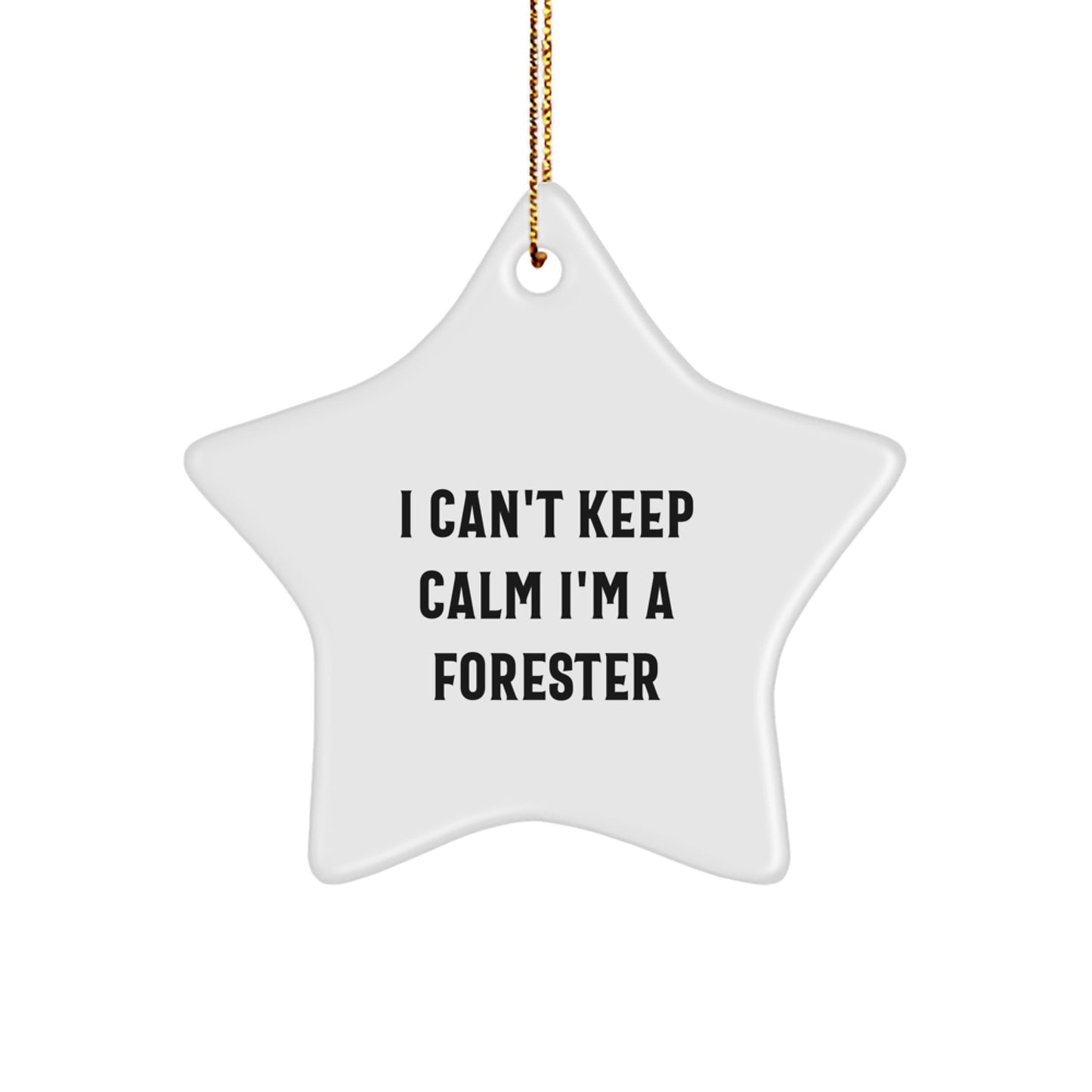 Funny Forester Gifts from Men to Friends and Family - Christmas Unique Star Ornaments - I Can't Keep Calm I'm A Forester Star Decoration - Image 1