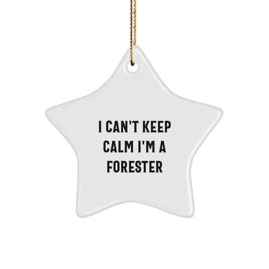 Funny Forester Gifts from Men to Friends and Family - Christmas Unique Star Ornaments - I Can't Keep Calm I'm A Forester Star Decoration - Image 1