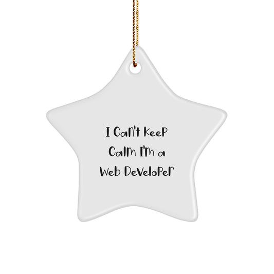 Funny Web Developer Star Ornament Gifts from Men for Friends, 'I Can't Keep Calm I'm A Web Developer' Christmas Unique Gifts - Image 1