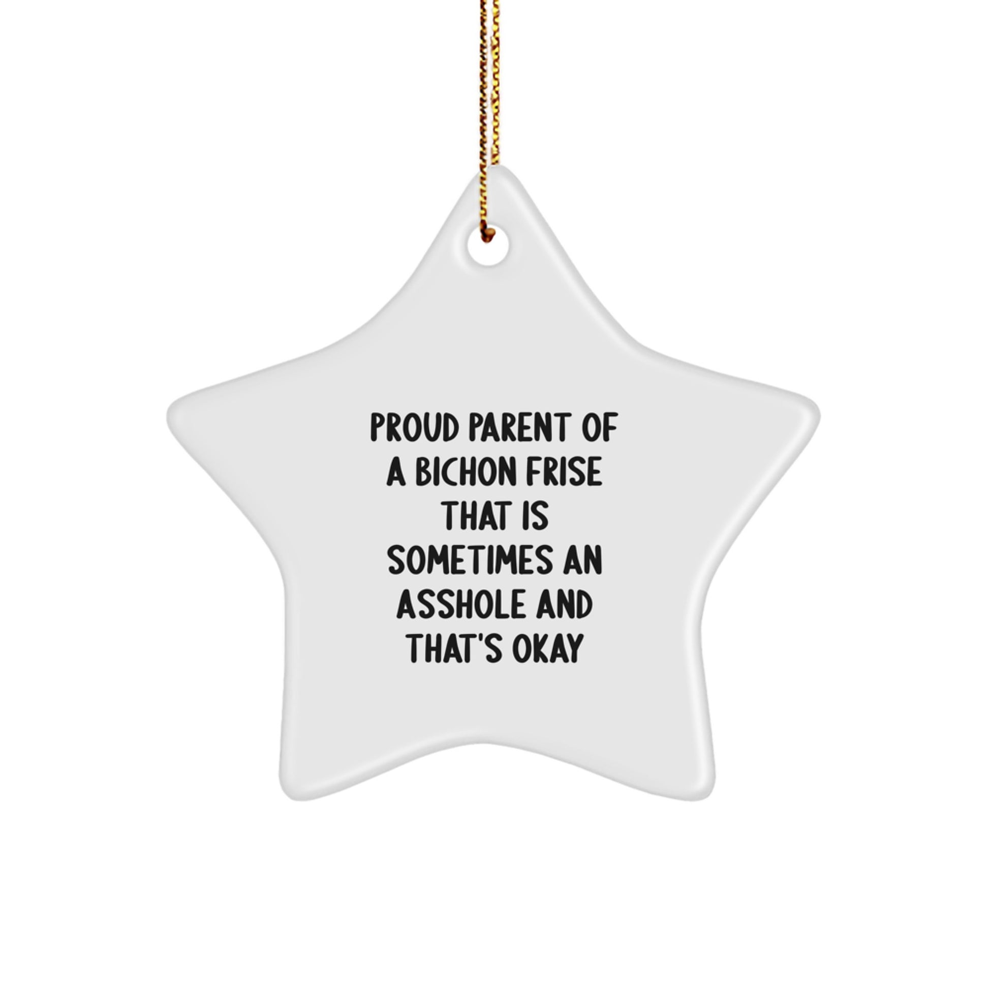 Funny Bichon Frise Dog Gifts for Men, Gifts from Friends to Bichon Frise Dog Lovers, Christmas Unique Star Ornament - Proud Parent of a Bichon Frise That Is Sometimes an Asshole and That's Okay - Image 1