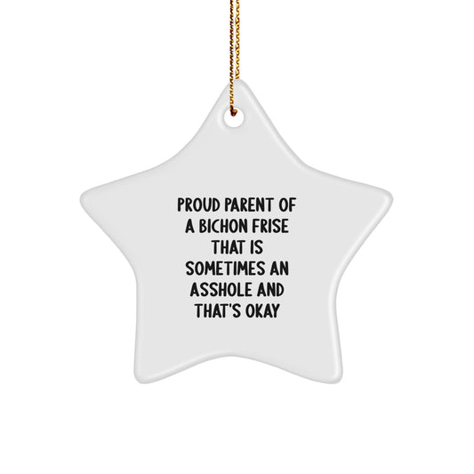 Funny Bichon Frise Dog Gifts for Men, Gifts from Friends to Bichon Frise Dog Lovers, Christmas Unique Star Ornament - Proud Parent of a Bichon Frise That Is Sometimes an Asshole and That's Okay - Image 1