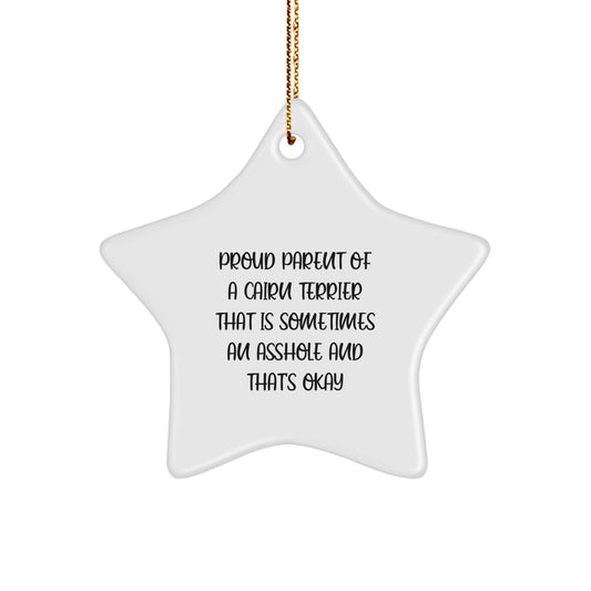 Funny Cairn Terrier Dog Gifts for Men from Proud Parents, Star Ornament Christmas Unique Gifts for Cairn Terrier Lovers, Cute Quote Cairn Terrier Dog Lover - Image 1