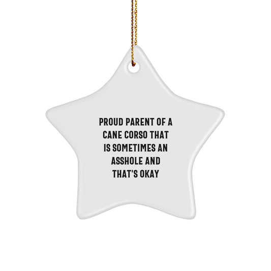 Funny Cane Corso Dog Lover Gifts from Friends, Funny Christmas Unique Gifts for Cane Corso Dog Owners, White Star Ornament - Proud of My Cane Corso Dog - Image 1