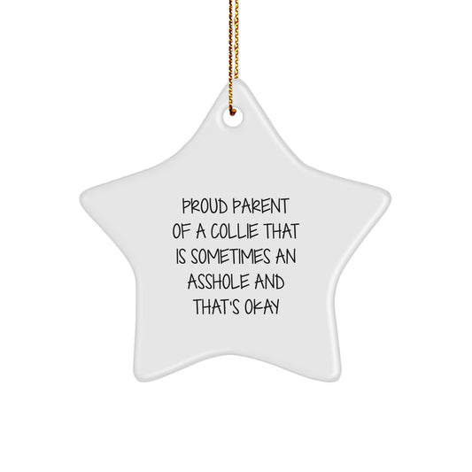 Collie Dog Mom's Funny Christmas Unique Gifts for Family Friends Star Ornament, Gifts from Women to Proud Collie Dog Parents - Image 1