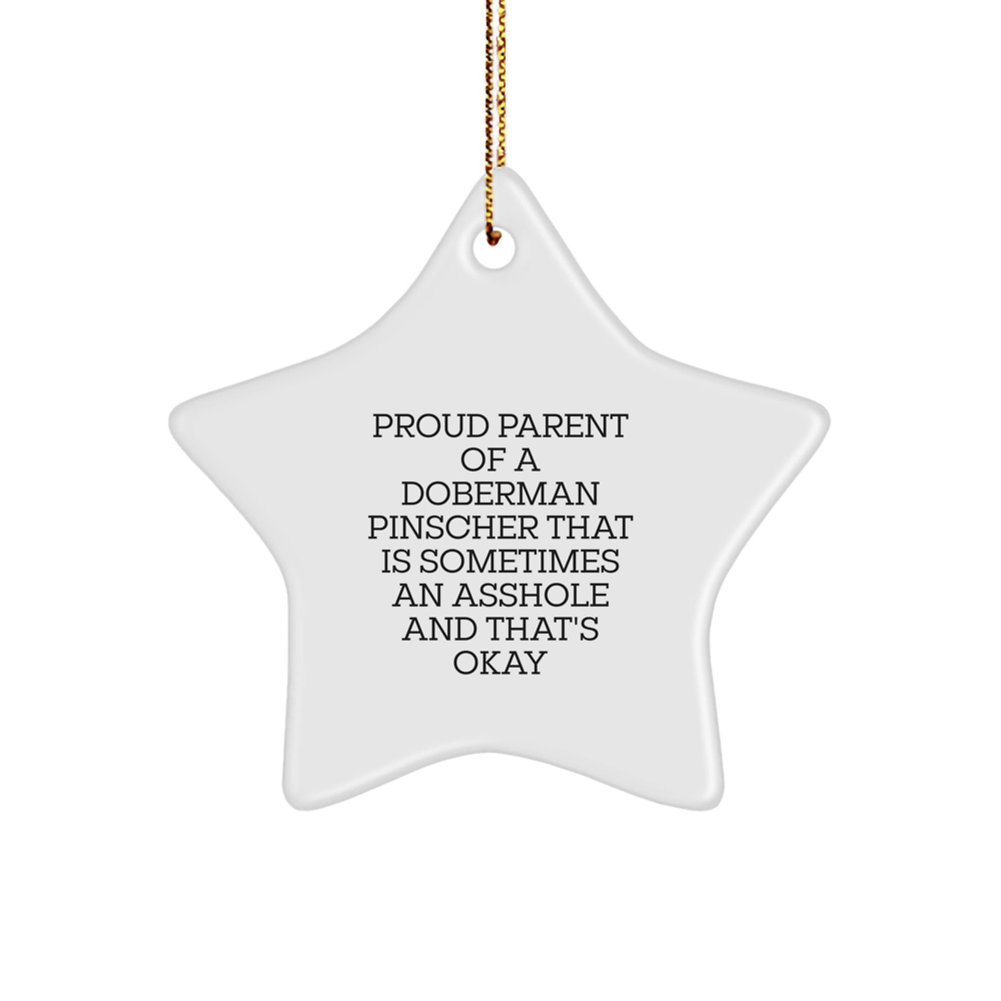 Funny Doberman Pinscher Dog Gifts from Men to Proud Parents, Christmas Unique Star Ornaments for Women, Friends, Coworkers - Image 1