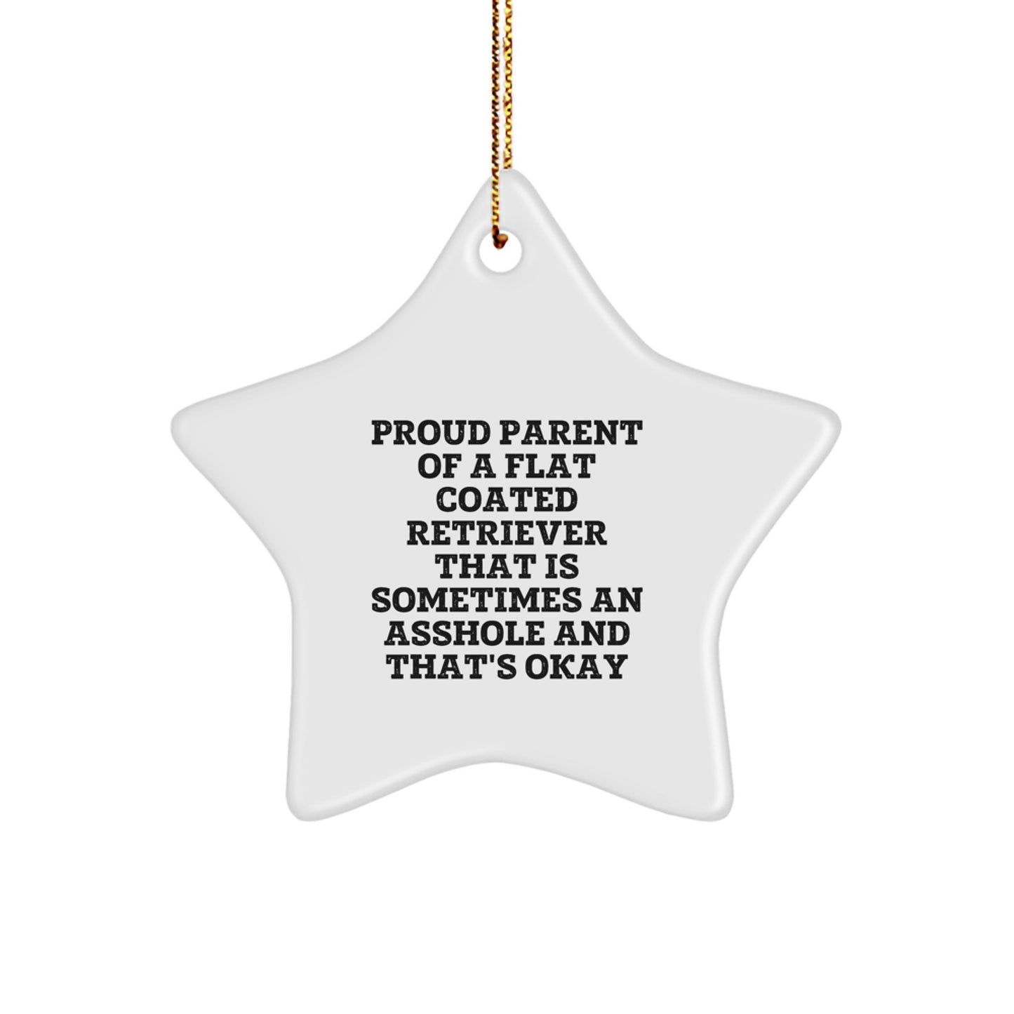 Funny Flat Coated Retriever Dog Star Ornament Gifts for Christmas Unique Presents from Men to Women Friends Family - Image 1