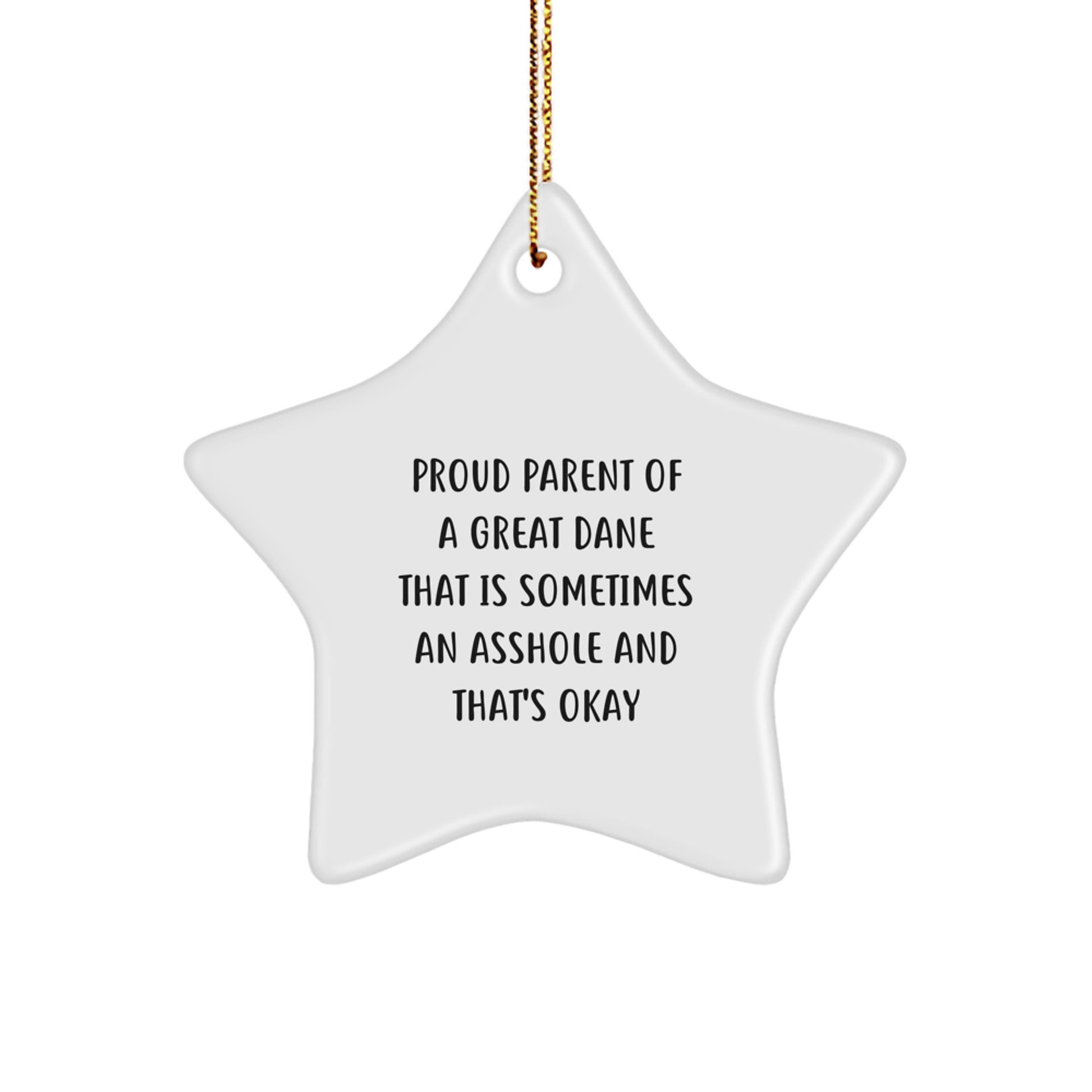 Funny Great Dane Dog Gifts for Men, Christmas Unique Star Ornament, Proud Parent 'Sometimes An Asshole' Quote, Gifts from Family - Image 1