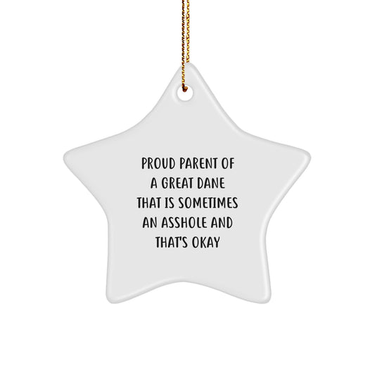 Funny Great Dane Dog Gifts for Men, Christmas Unique Star Ornament, Proud Parent 'Sometimes An Asshole' Quote, Gifts from Family - Image 1
