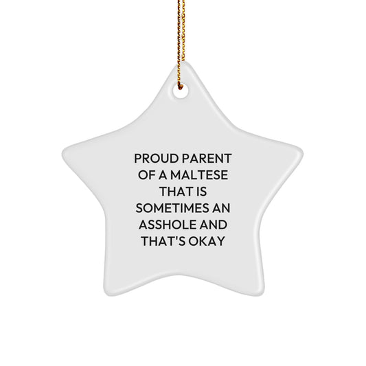 Funny Maltese Dog Star Ornament Gifts from Friends, Family or Coworkers for Men, Women, Christmas Unique Gifts - Image 1