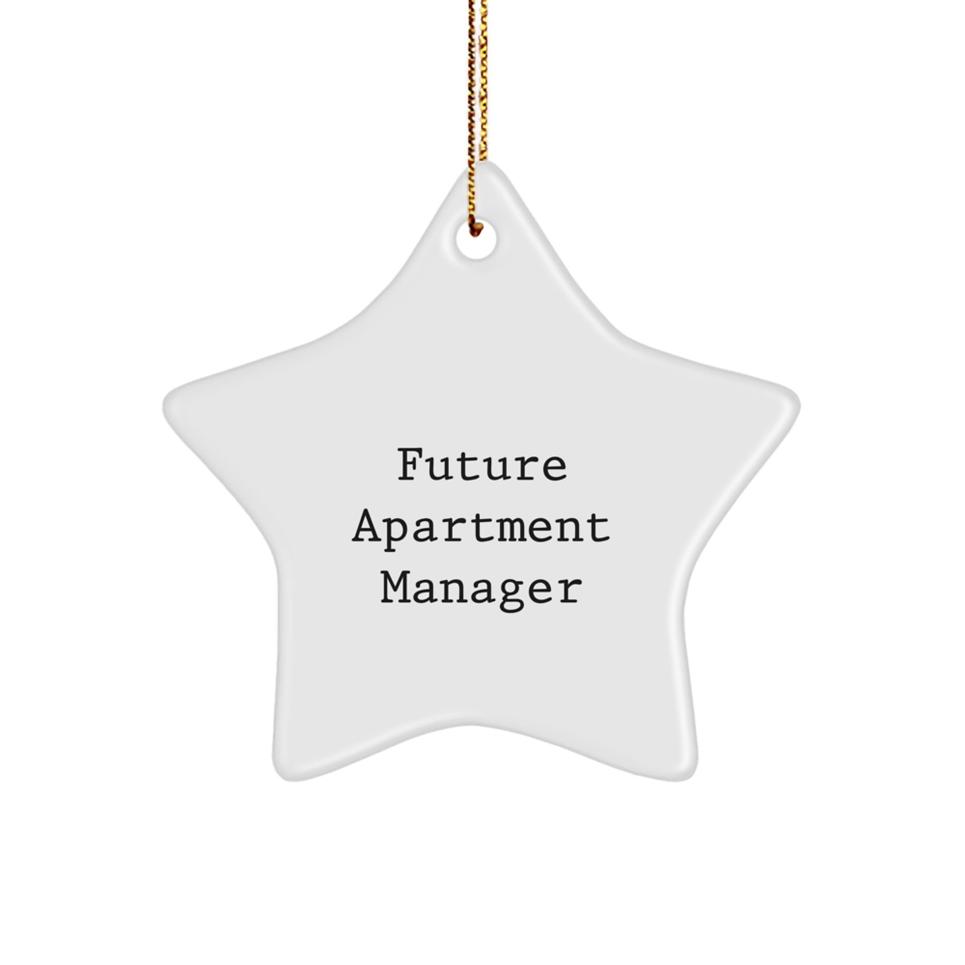 Funny Quote for Future Apartment Manager, Star Ornament Gifts from Men to Friends, Beautiful White Color, 3.25" Tall, Perfect for Christmas Unique Gifts - Image 1