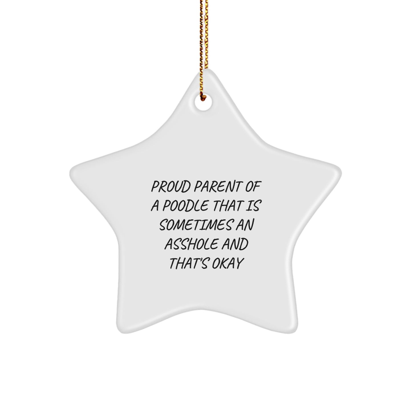 Funny Poodle Dog Star Ornaments Gifts for Poodle Dog Lovers from Friends - Image 1