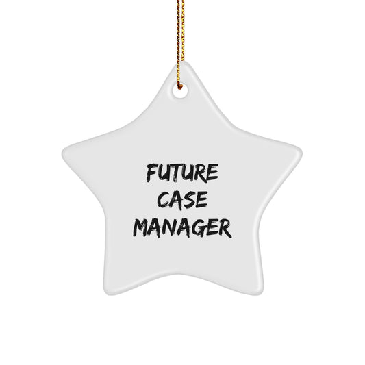 Funny Future Case Manager Gifts from Family - Case Manager Star Ornament, Gifts for Case Manager at Christmas - Image 1