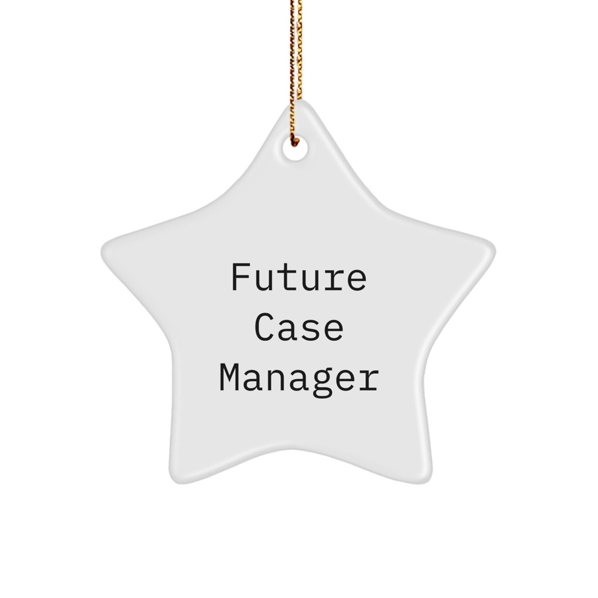 Funny Case Manager Gifts from Friends, Cute Star Ornament for Future Case Manager, Inspirational Christmas Unique Gifts for Case Manager - Image 1