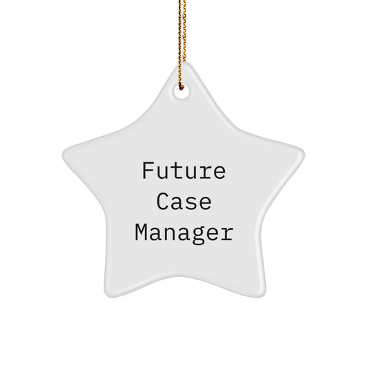Funny Case Manager Gifts from Friends, Cute Star Ornament for Future Case Manager, Inspirational Christmas Unique Gifts for Case Manager - Image 1