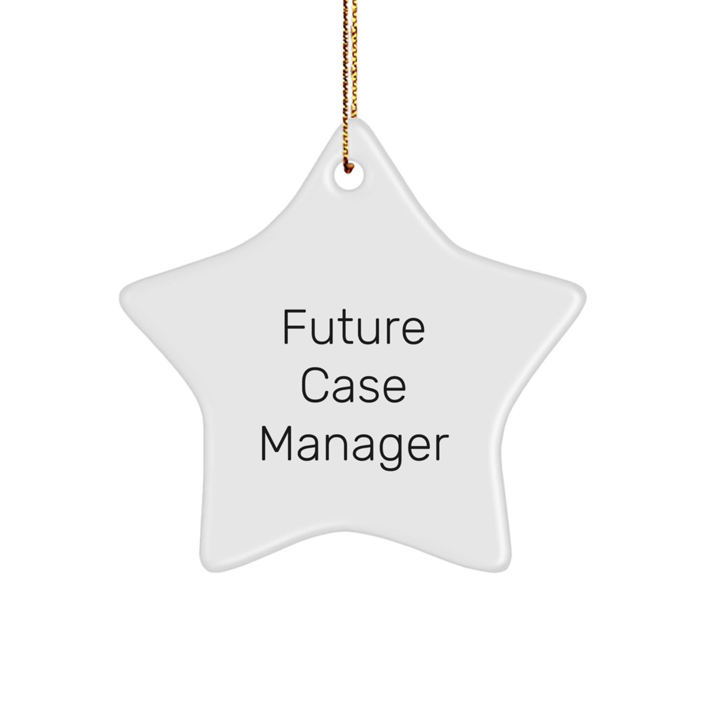 Funny Inspirational Quotes for Future Case Managers - Gifts from Friends to Case Managers, Case Manager Star Ornament, Funny Christmas Unique Gift for Case Manager - Image 1
