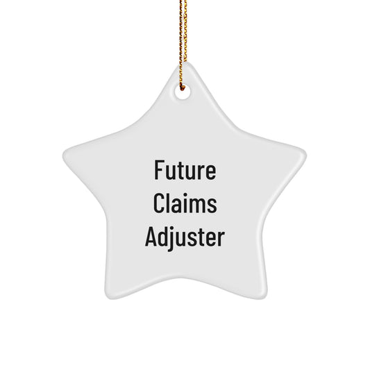 Funny Future Claims Adjuster Gifts, Christmas Unique Star Ornament for Men or Women, Funny Quote Star Ornaments for Claims Adjuster Friends and Family - Image 1