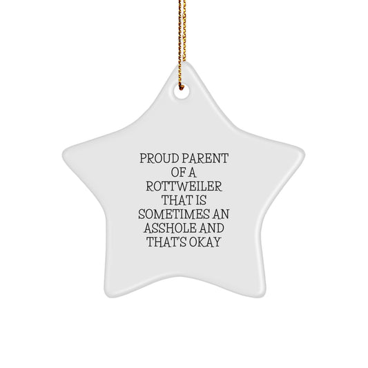 Rottweiler Dog Star Ornament Gifts from Friends for Christmas, Funny Quote, Star Shaped White Decorations with Gold Cord, Unique Christmas Unique Gifts for Rottweiler Dog Lovers - Image 1