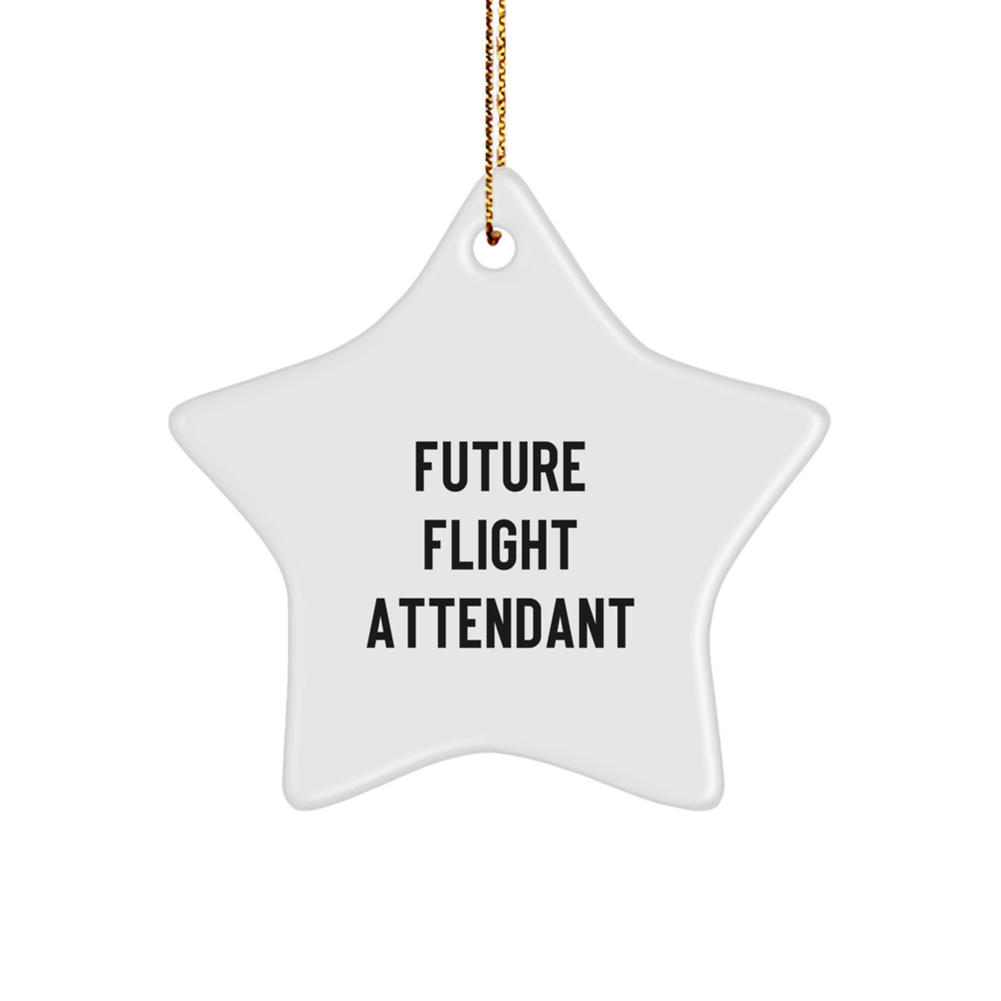 Future Flight Attendant Gifts from Men - Cute Star Ornament for Christmas Unique Gifts for Flight Attendant Friends - Image 1