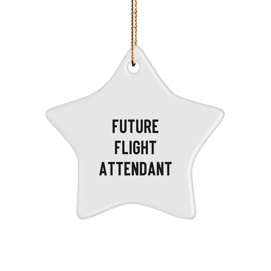 Future Flight Attendant Gifts from Men - Cute Star Ornament for Christmas Unique Gifts for Flight Attendant Friends - Image 1
