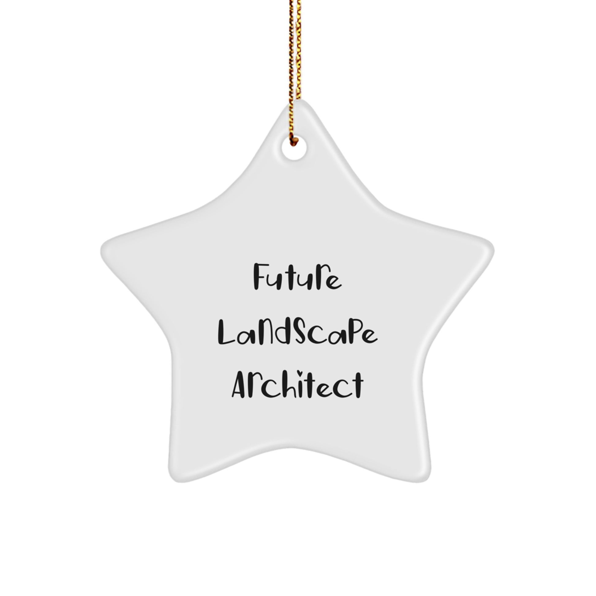 Funny Future Landscape Architect Star Ornament Gifts from Family, Perfect for Christmas Unique Gifts for Him Her - Image 1