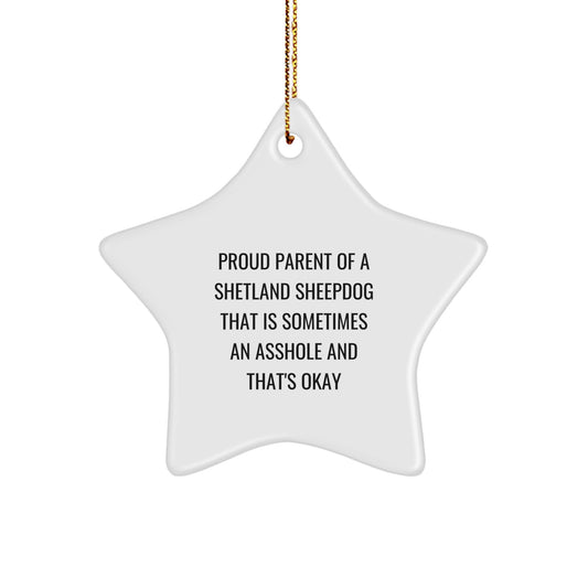 Funny Shetland Sheepdog Mom Gifts from Men for Shetland Sheepdog Lovers Christmas Unique Gifts - Image 1