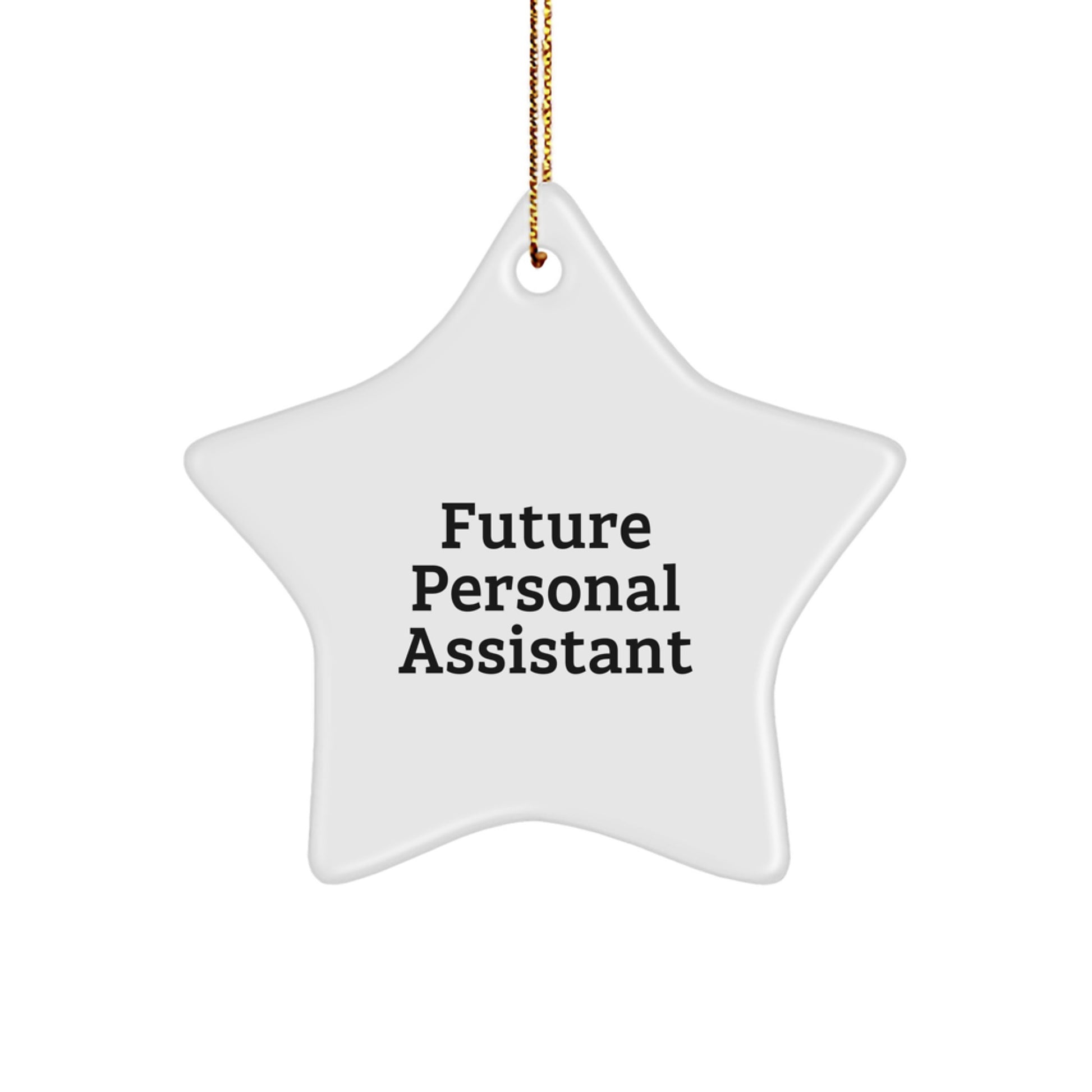 Funny Future Personal Assistant Gifts for Men from Family - Star Ornament for Christmas - Image 1