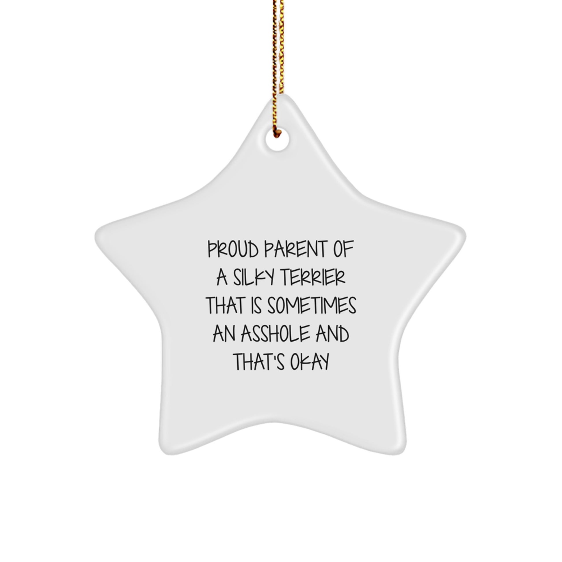 Silky Terrier Dog Star Ornament, Funny Quote Gifts for Men, Women, Friends, and Family - Proud Parent Silky Terrier Gifts from Mom, Dad, Grandma, Grandpa, and Christmas Unique Gifts - Image 1