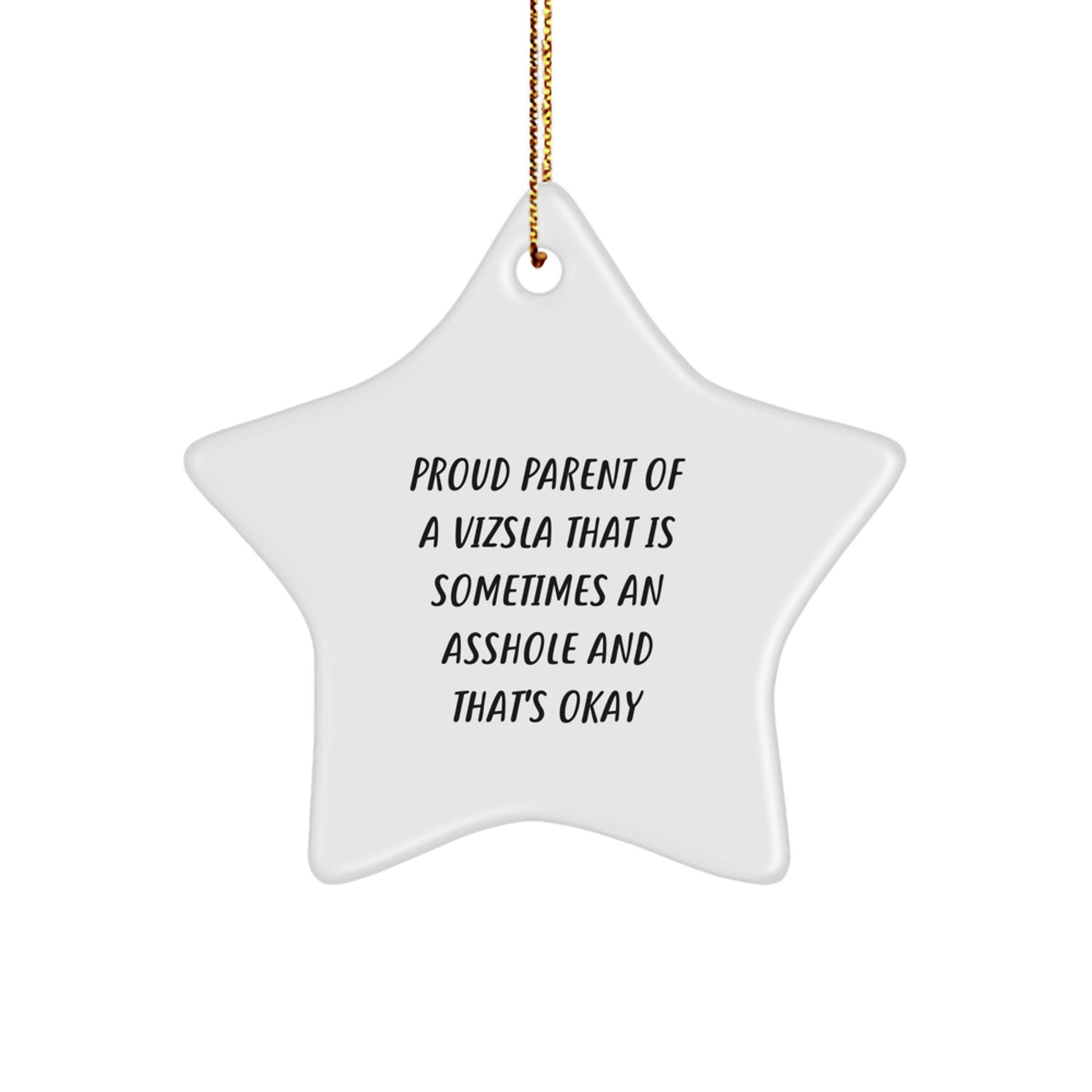Funny Vizsla Dog Christmas Unique Gifts for Men or Women, Star Ornament from Proud Parents, Gifts from Friends and Family - Image 1