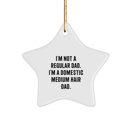 Funny Domestic Medium Hair Cat Gifts for Dad - Star Ornament, Christmas Unique Presents from Men - Image 1