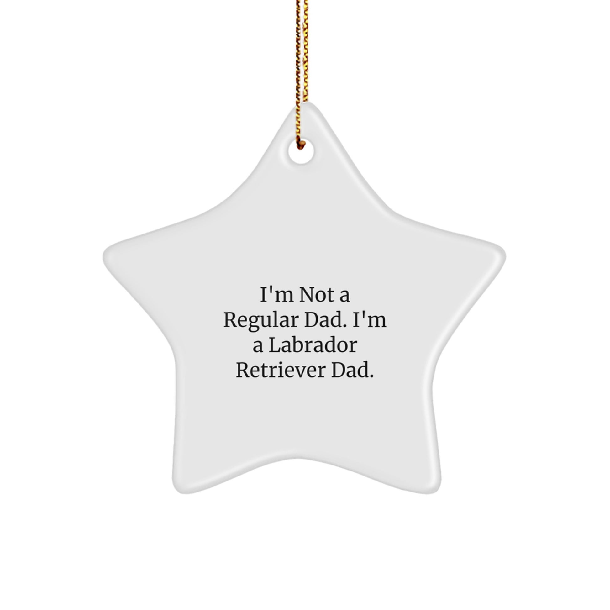 Funny Labrador Retriever Dog Star Ornament Gifts from Dad, Labrador Retriever Dad Star, Labrador Retriever Dog Christmas Unique Gifts - Image 1
