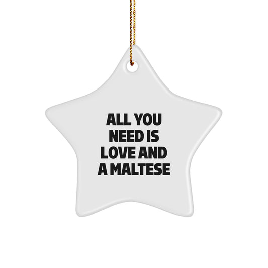 Funny Maltese Dog Christmas Star Ornament Gifts from Family Friends for Maltese Lovers - Image 1