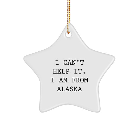 Funny Alaska Star Ornament Gifts from Friends and Family for Christmas Unique - Image 1
