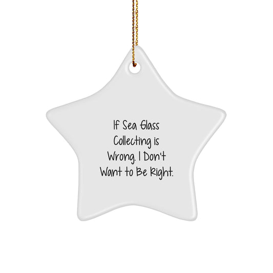 Sea Glass Collecting Enthusiast Funny Gifts from Friends and Family for Christmas Unique Star Ornaments - Image 1