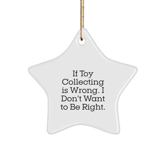 Funny Toy Collecting Gifts for Christmas from Friends, Family, or Coworkers - Cute Star Ornament with Inspirational Quote - Image 1